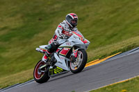 PJ-Motorsport-2019;anglesey-no-limits-trackday;anglesey-photographs;anglesey-trackday-photographs;enduro-digital-images;event-digital-images;eventdigitalimages;no-limits-trackdays;peter-wileman-photography;racing-digital-images;trac-mon;trackday-digital-images;trackday-photos;ty-croes